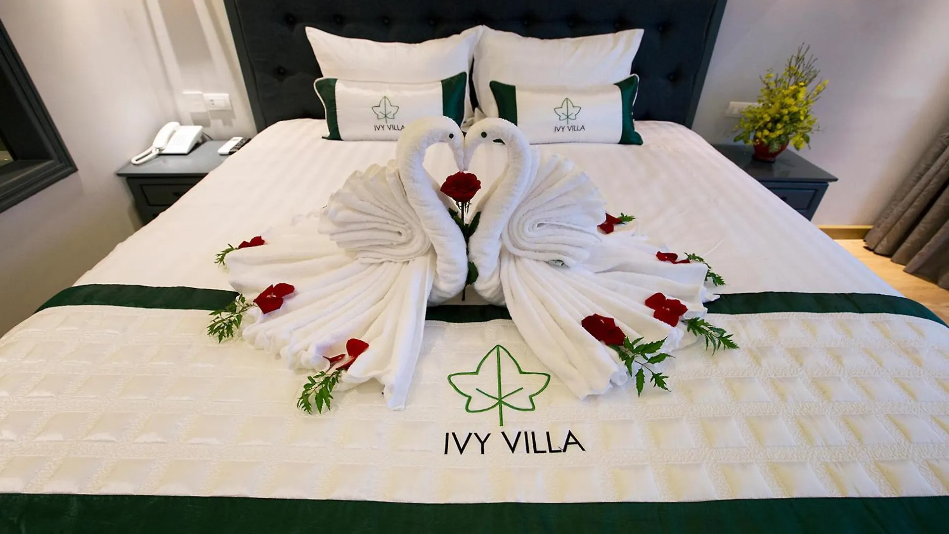 Ivy Villa Hoi An