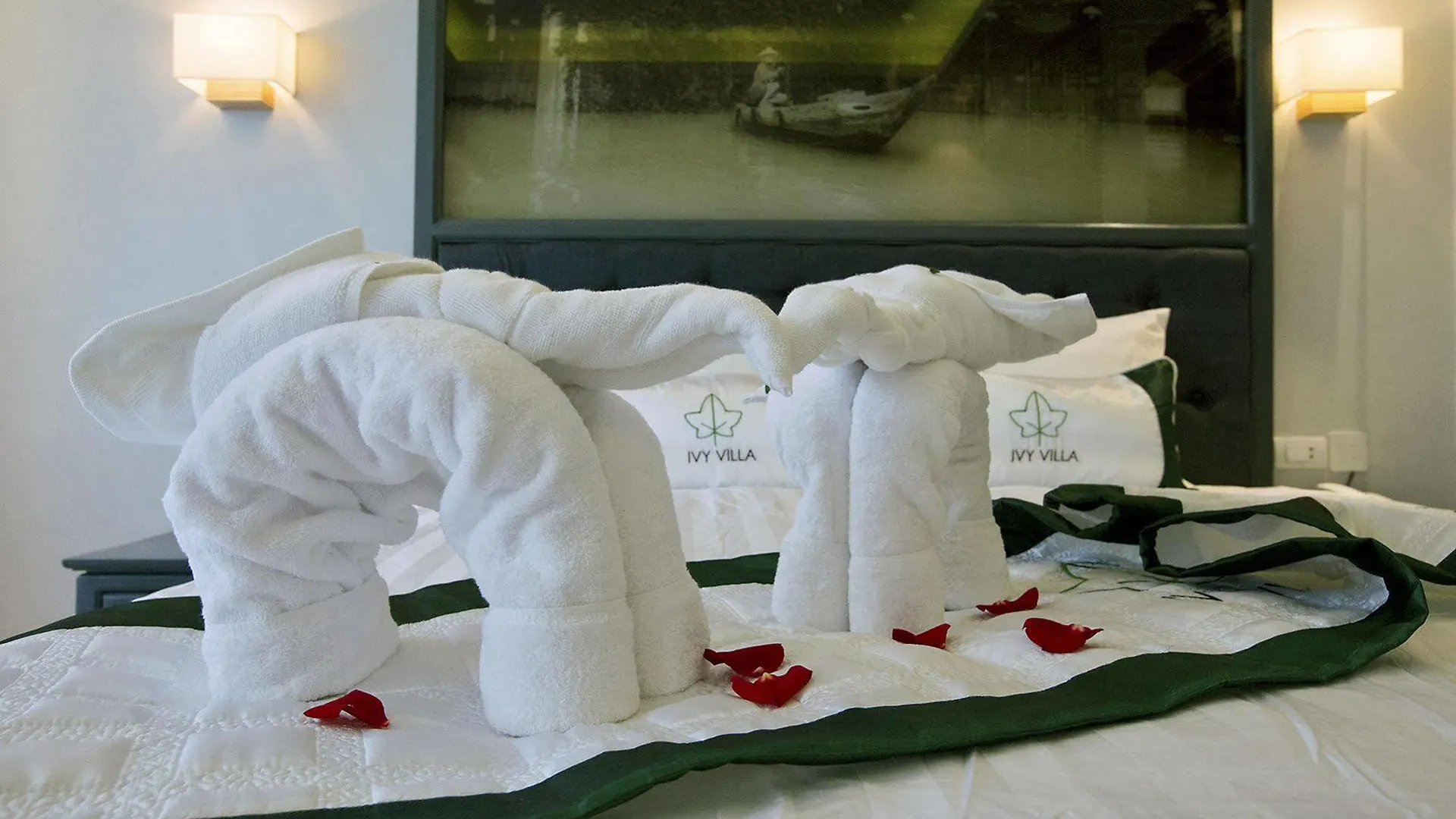 Hotel Ivy Villa Hoi An